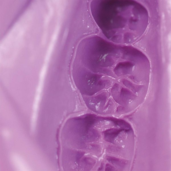Hydrogum 5 (Гідрогум), альгінат швидкого затвердіння, з високою стабільністю розмірів протягом 5 днів, пакет 453 г C302070 фото